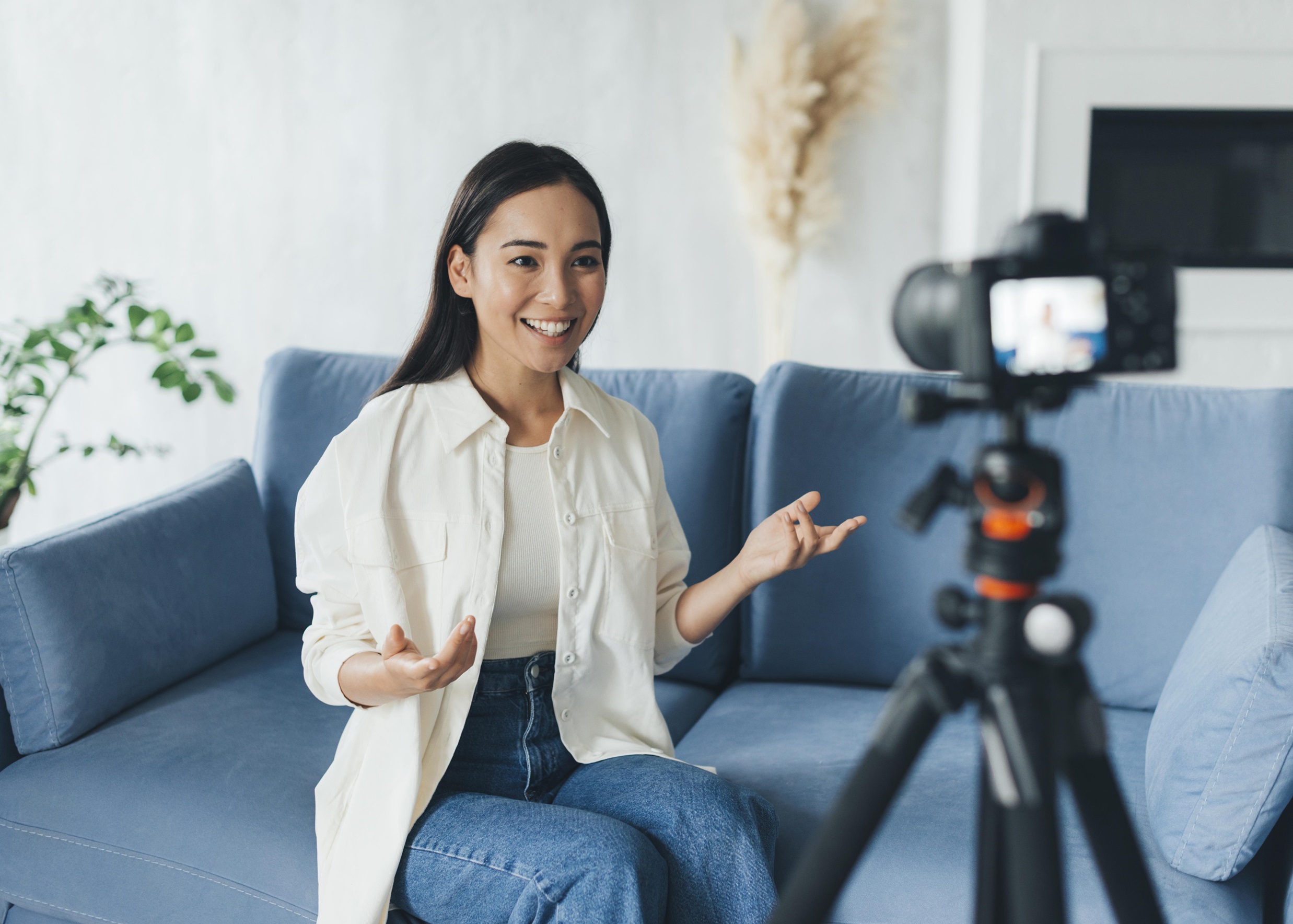 Influencer Strategy Management