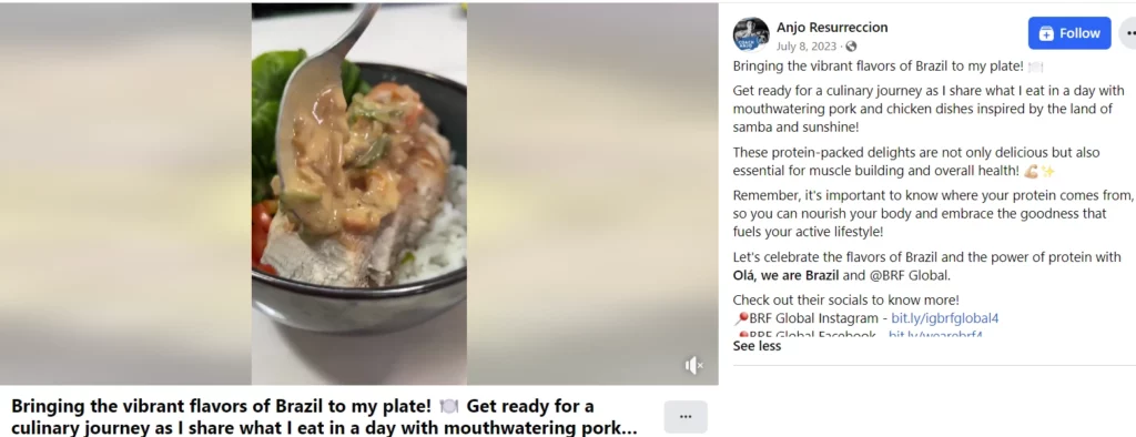 Influencer Campaign Strategy for Brazilian Embassy and BRF Global | Anjo Resurreccion